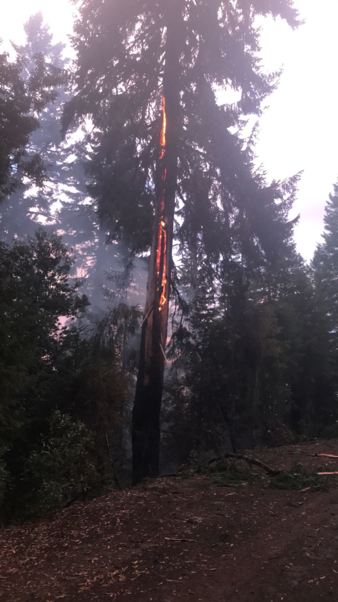 Lightning fire